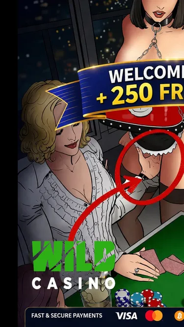 Wild Casino Screenshot